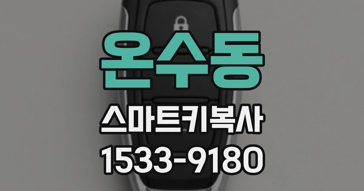 온수동 스마트키복사