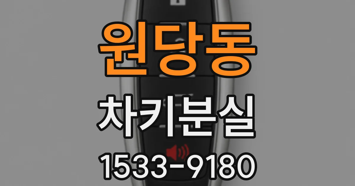 원당동 차키분실