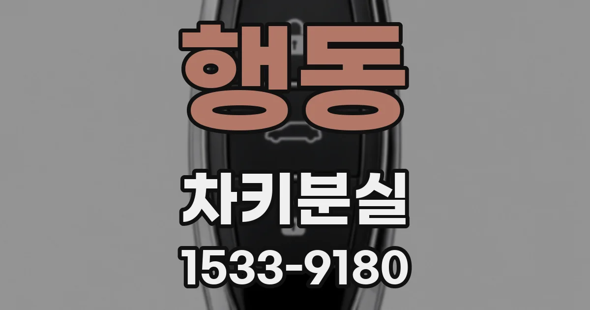 행동 차키분실