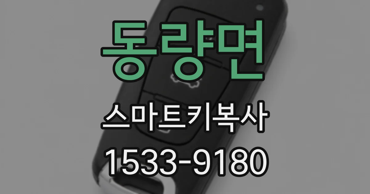 동량면 스마트키복사