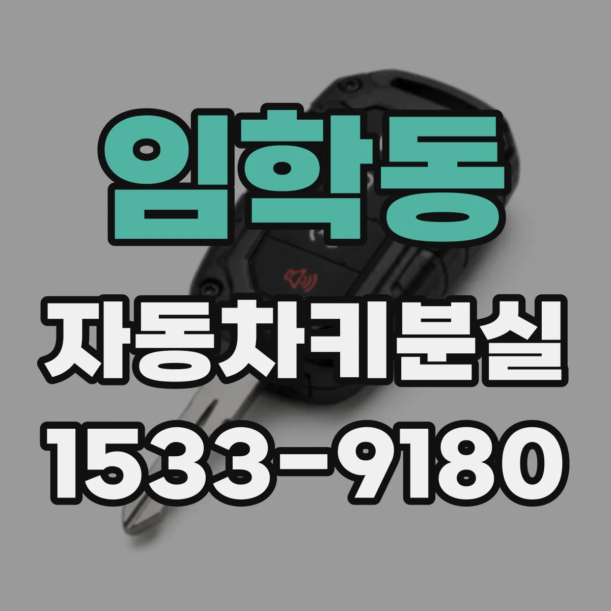 임학동 자동차키분실