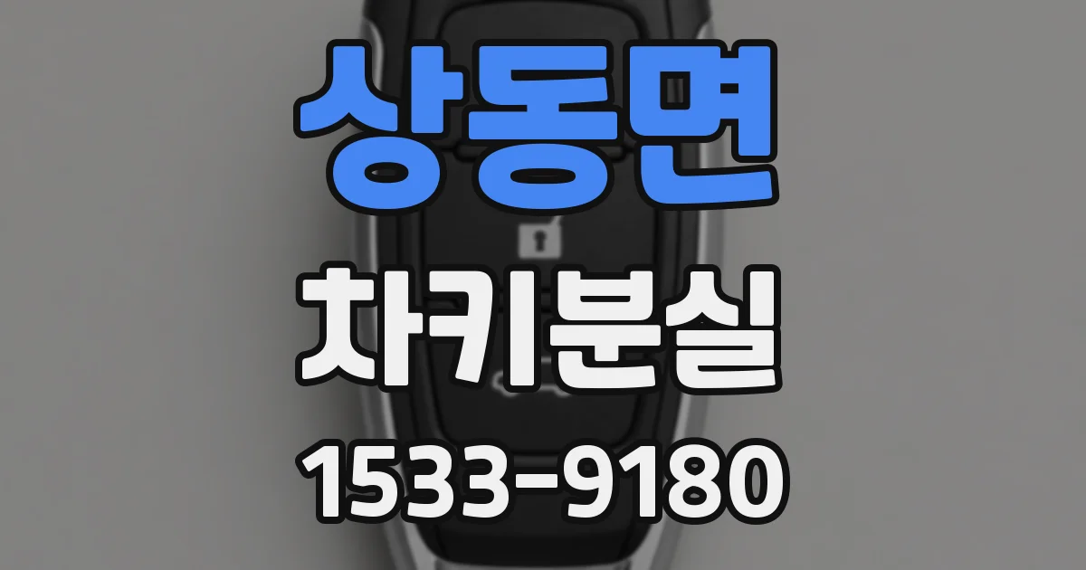 상동면 차키분실