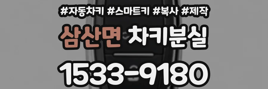 삼산면 차키분실
