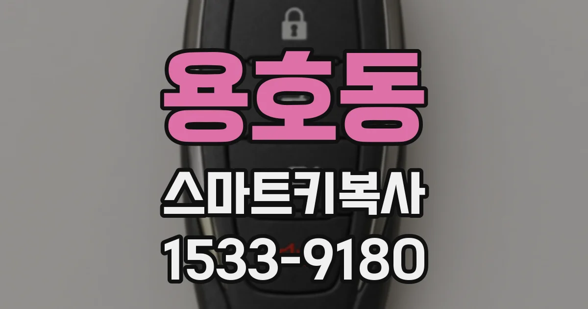 용호동 스마트키복사