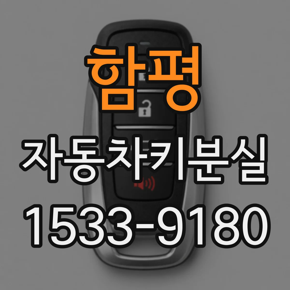 함평 자동차키분실