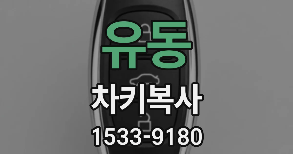 유동 차키복사