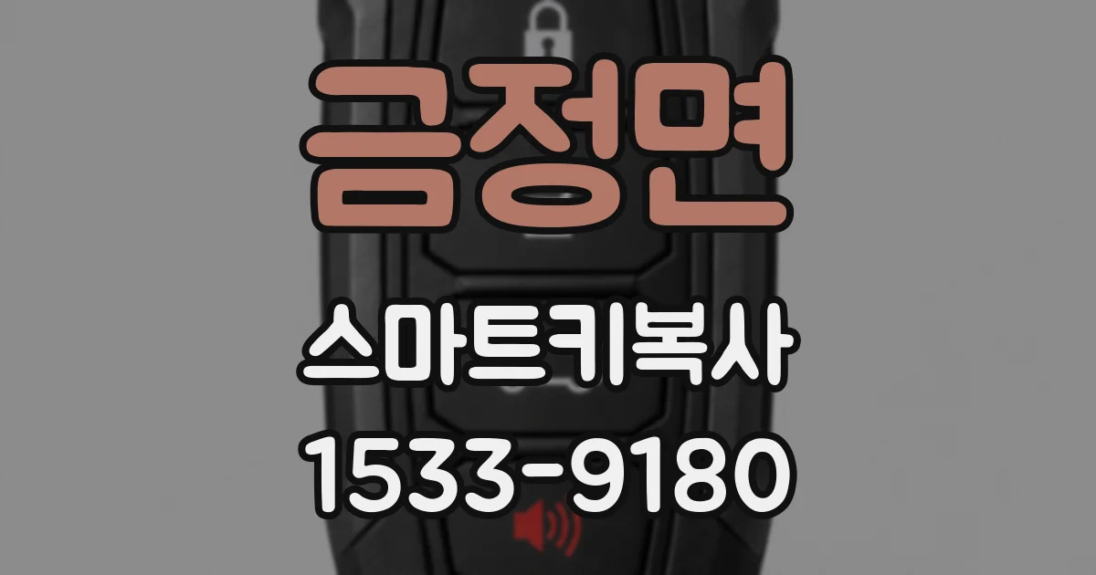금정면 스마트키복사
