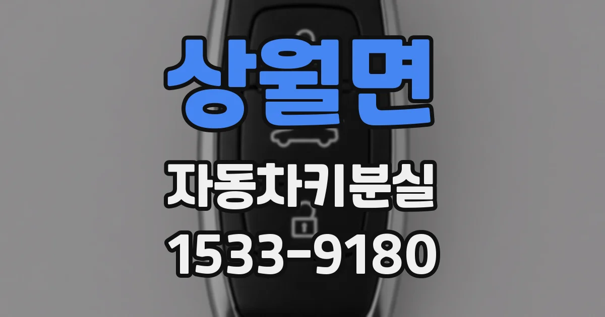 상월면 자동차키분실