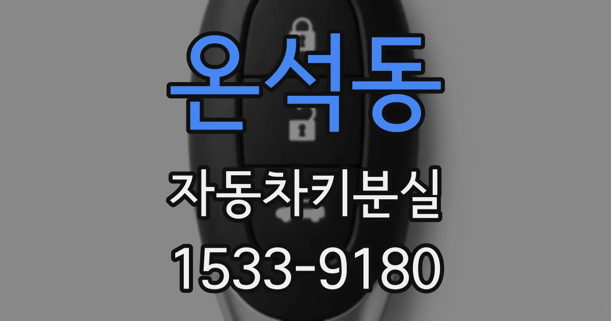 온석동 자동차키분실