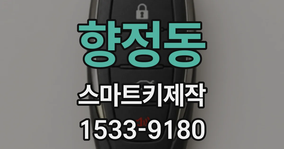 향정동 스마트키제작