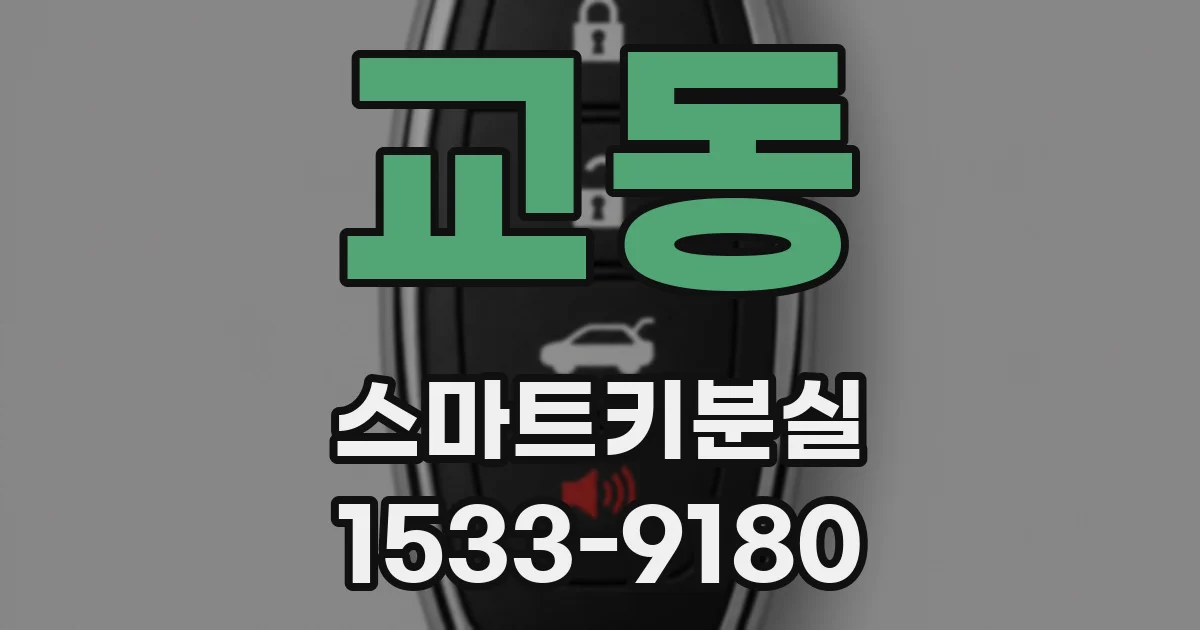 교동 스마트키분실