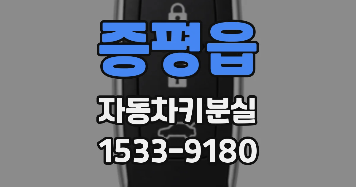 증평읍 자동차키분실