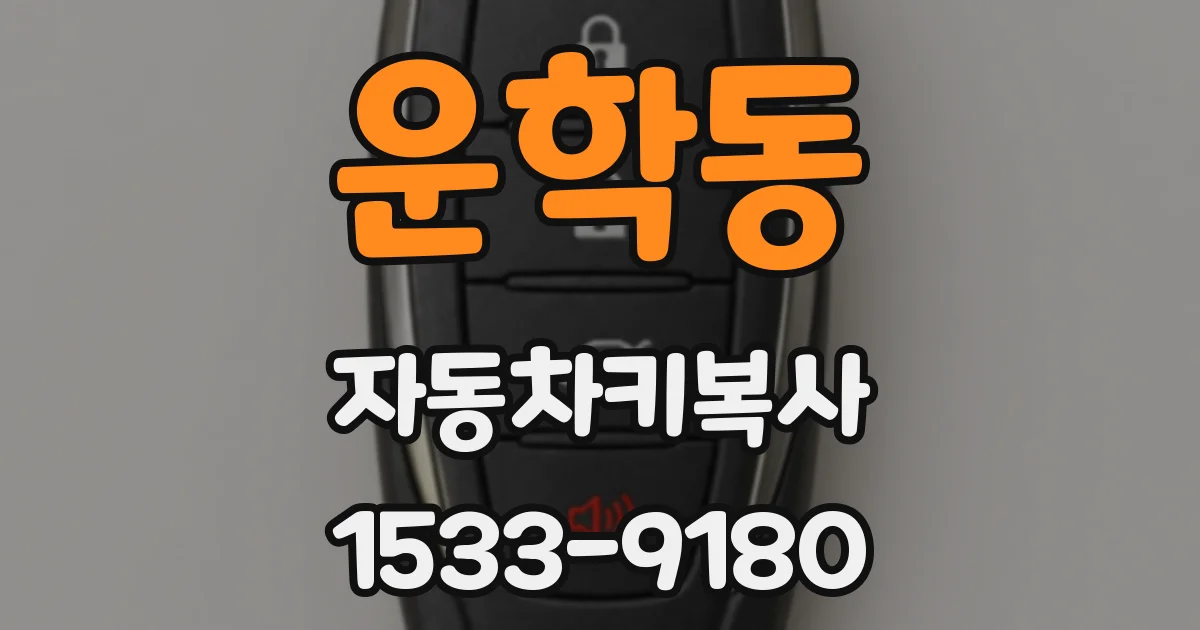 운학동 자동차키복사