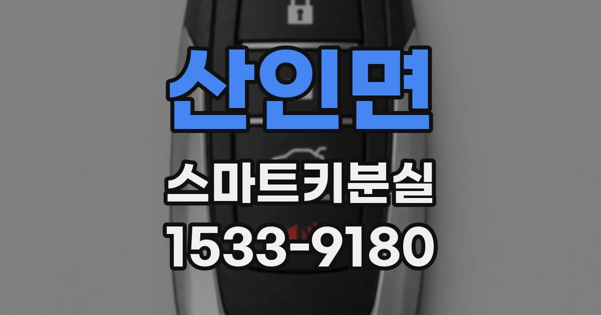 산인면 스마트키분실