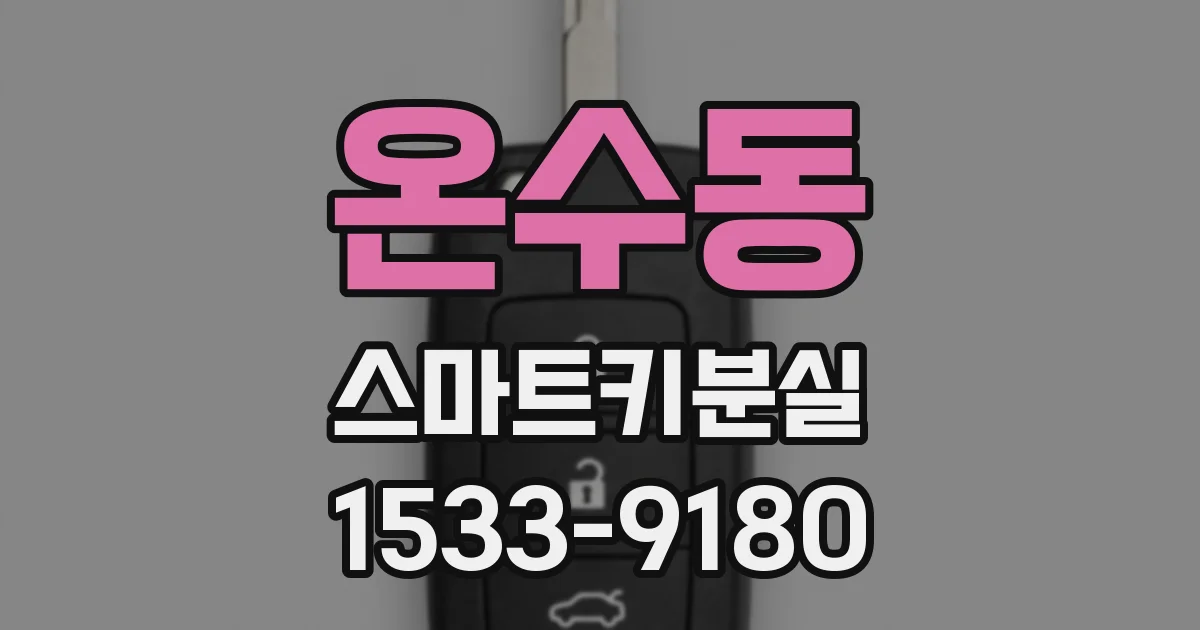 온수동 스마트키분실