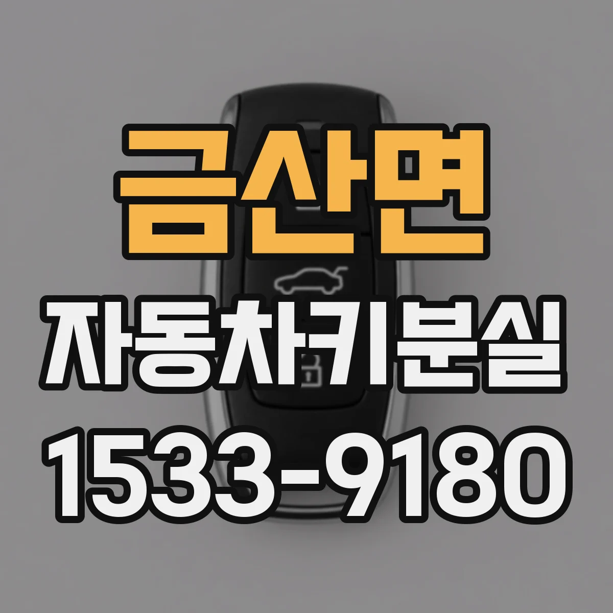 금산면 자동차키분실