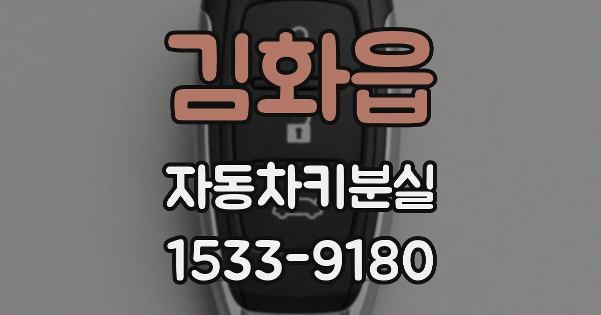 김화읍 자동차키분실