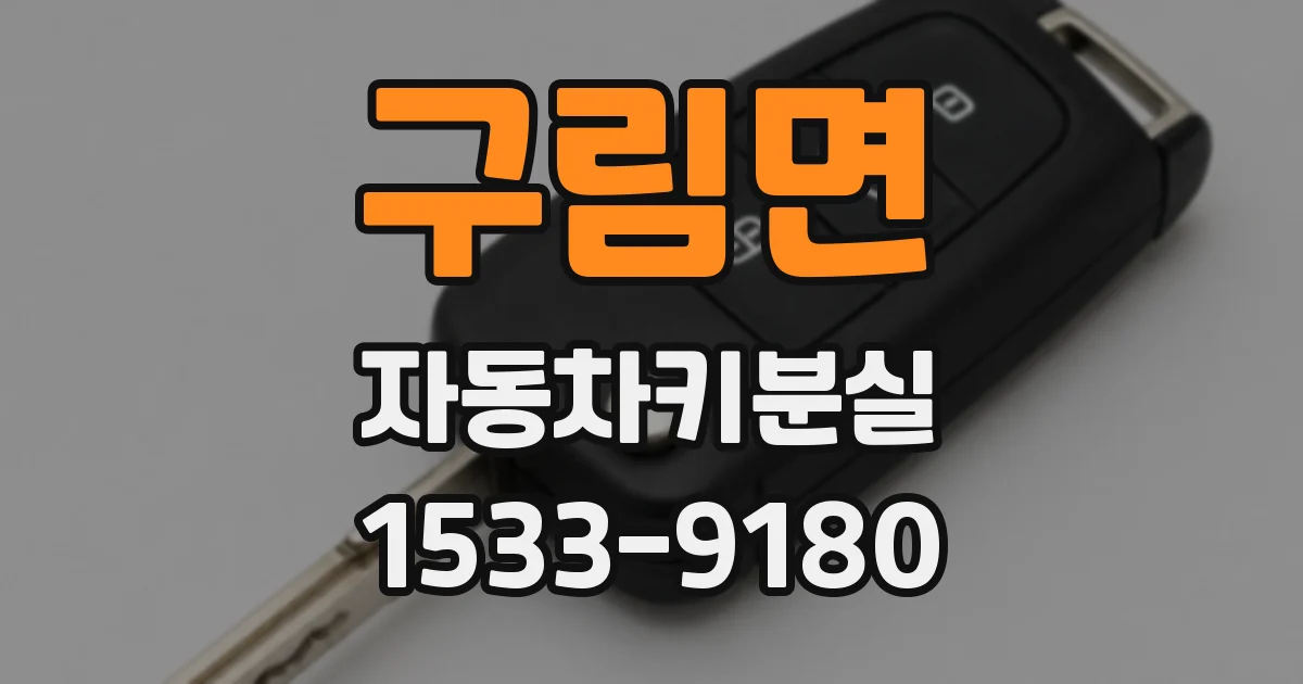 구림면 자동차키분실