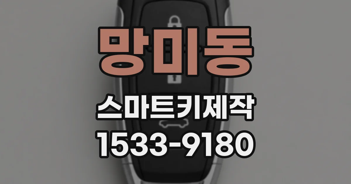 망미동 스마트키제작