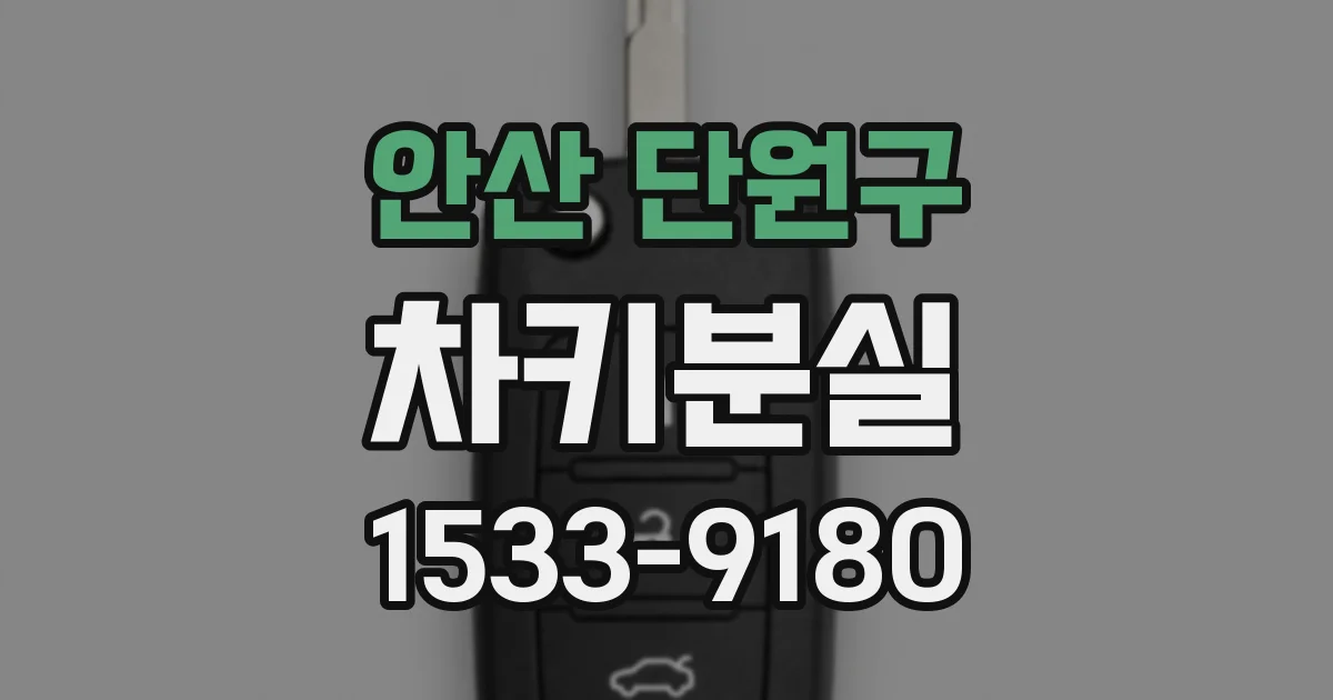안산 단원구 차키분실