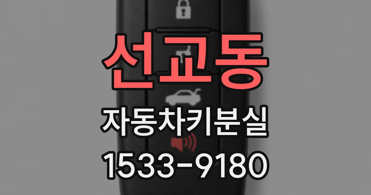 선교동 자동차키분실