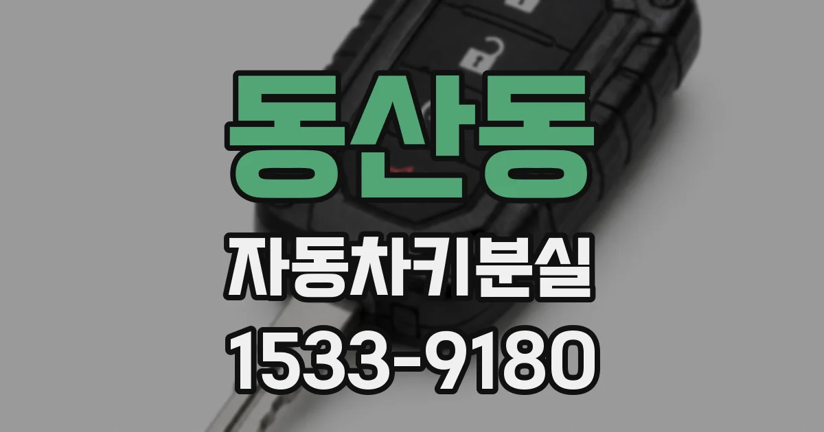 동산동 자동차키분실