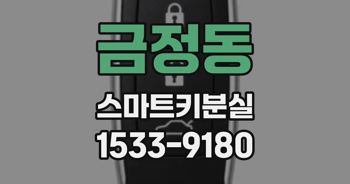 금정동 스마트키분실