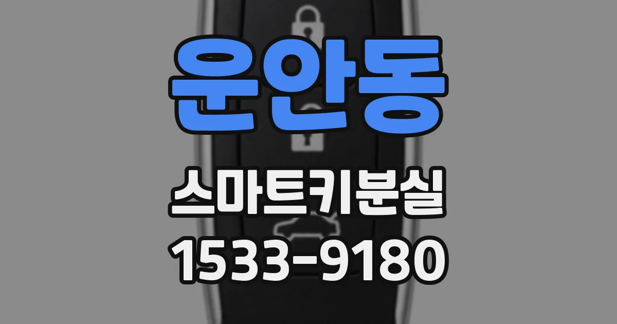 운안동 스마트키분실