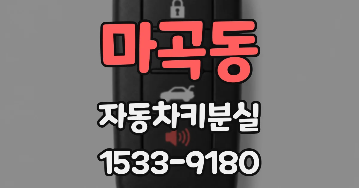 마곡동 자동차키분실