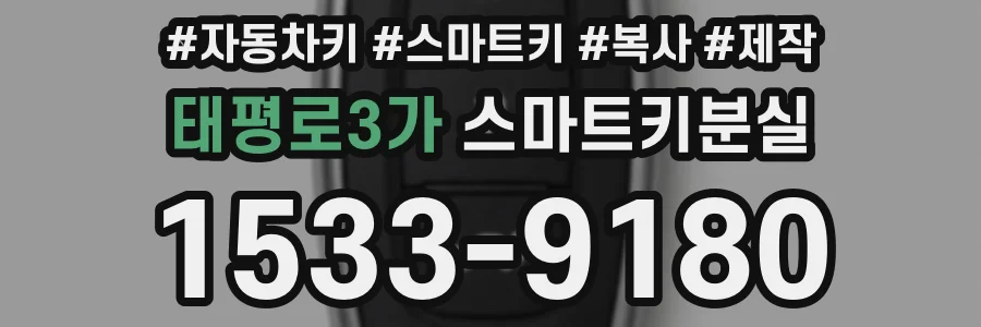 태평로3가 스마트키분실