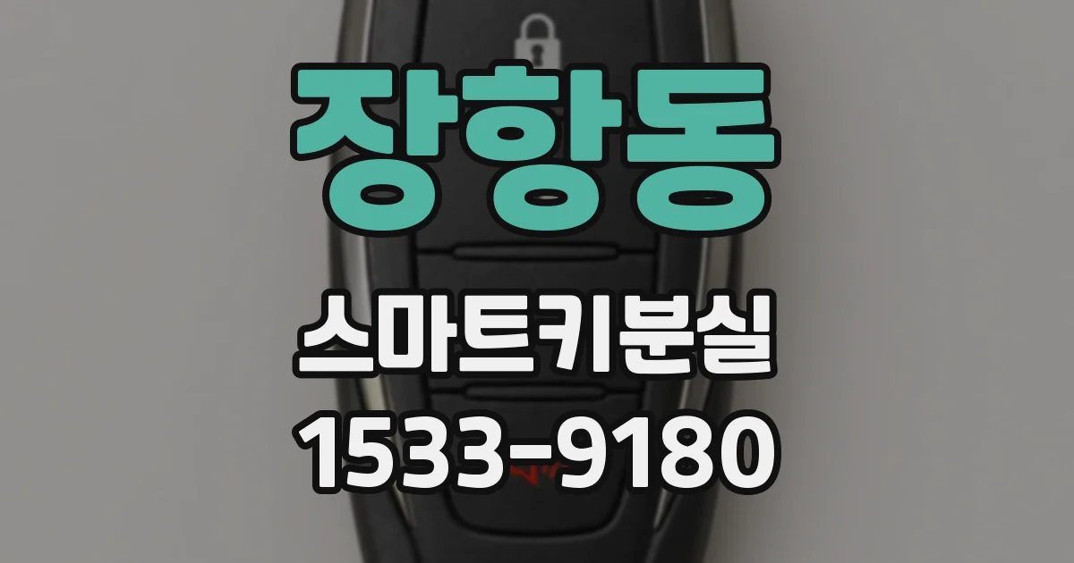 장항동 스마트키분실