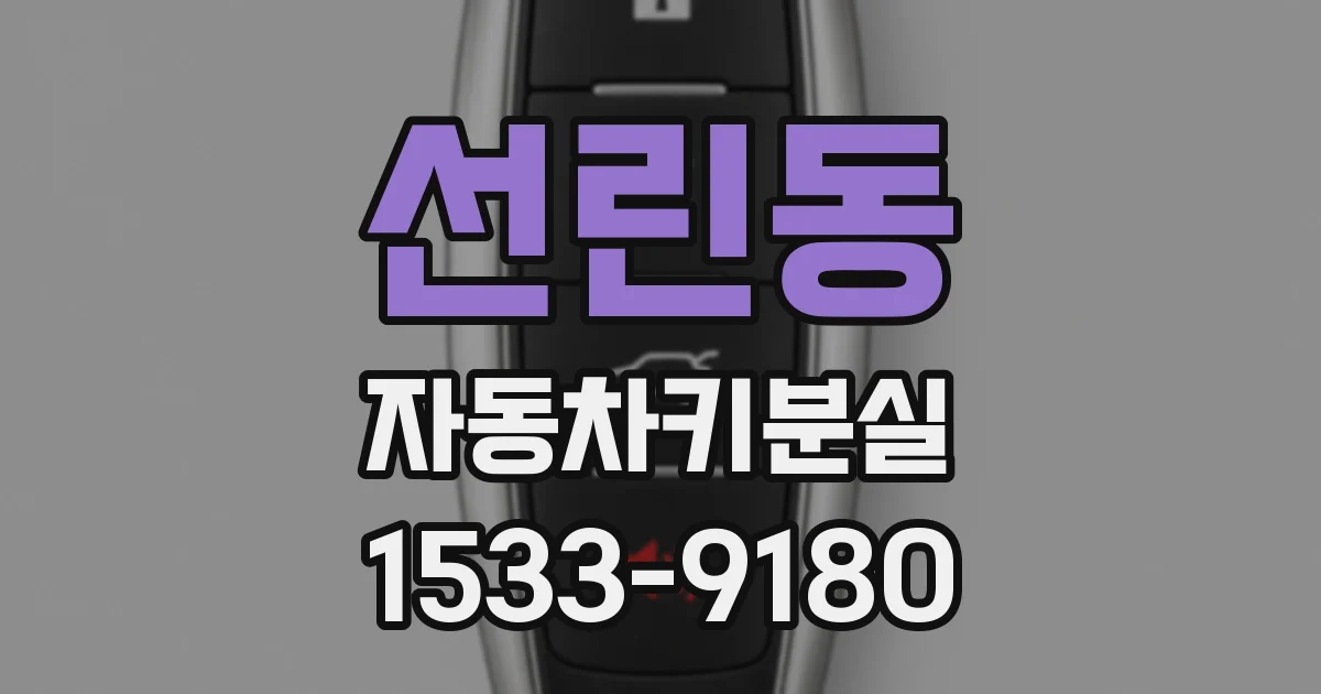선린동 자동차키분실