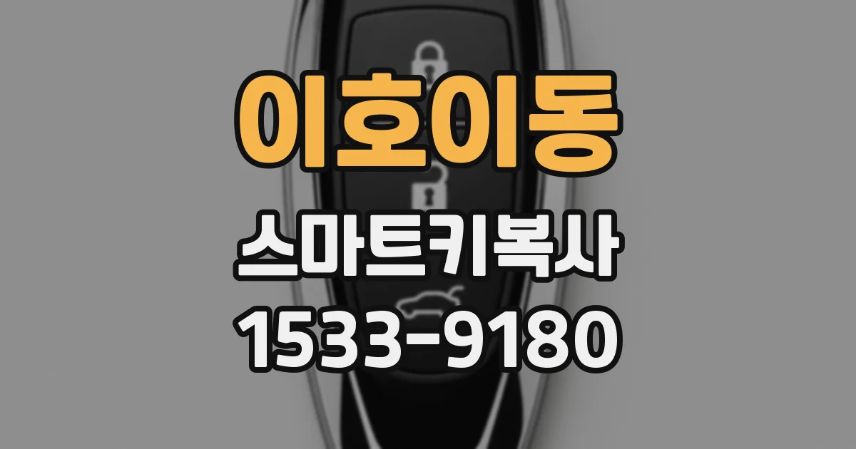 이호이동 스마트키복사