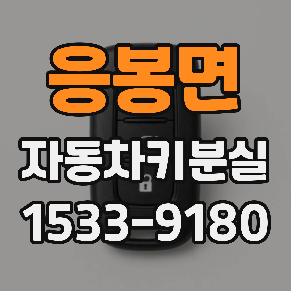 응봉면 자동차키분실