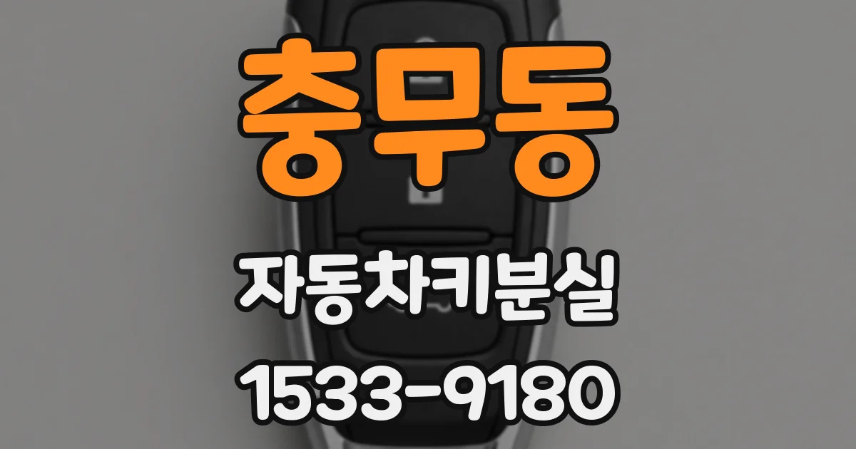 충무동 자동차키분실