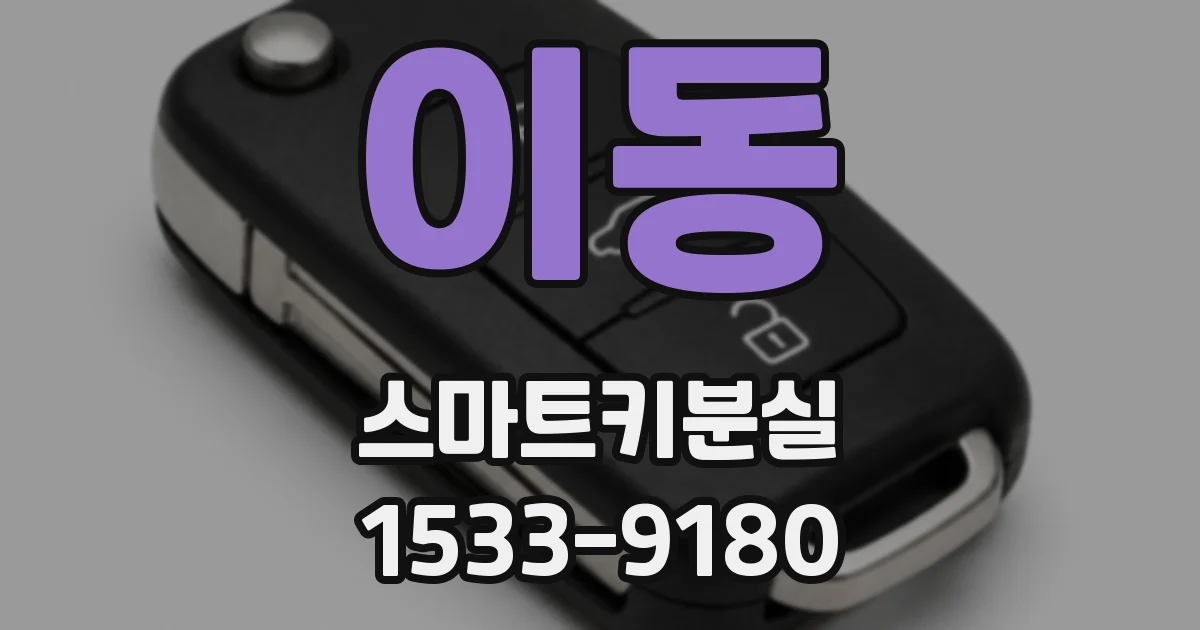 이동 스마트키분실