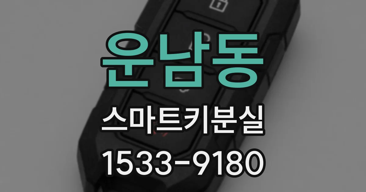 운남동 스마트키분실