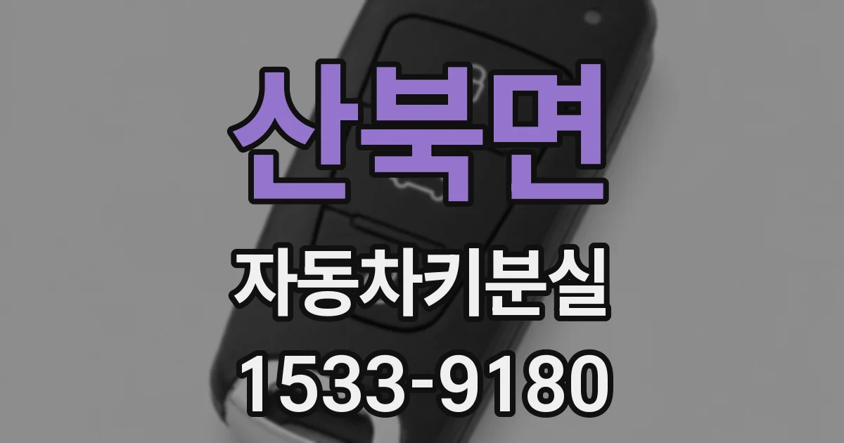 산북면 자동차키분실