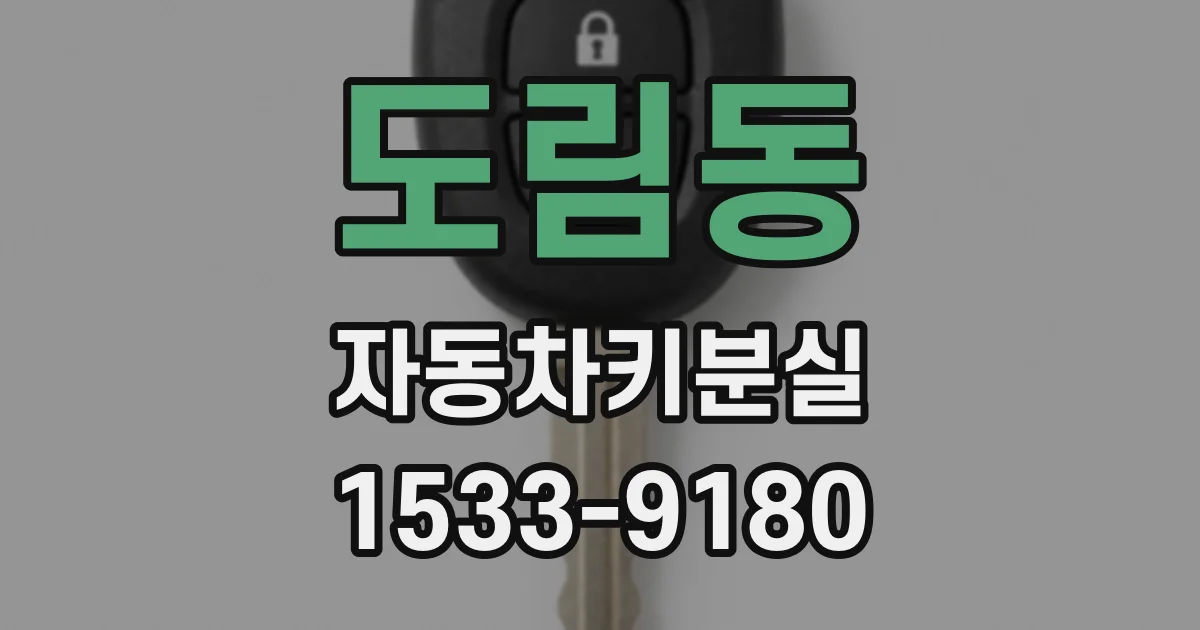 도림동 자동차키분실