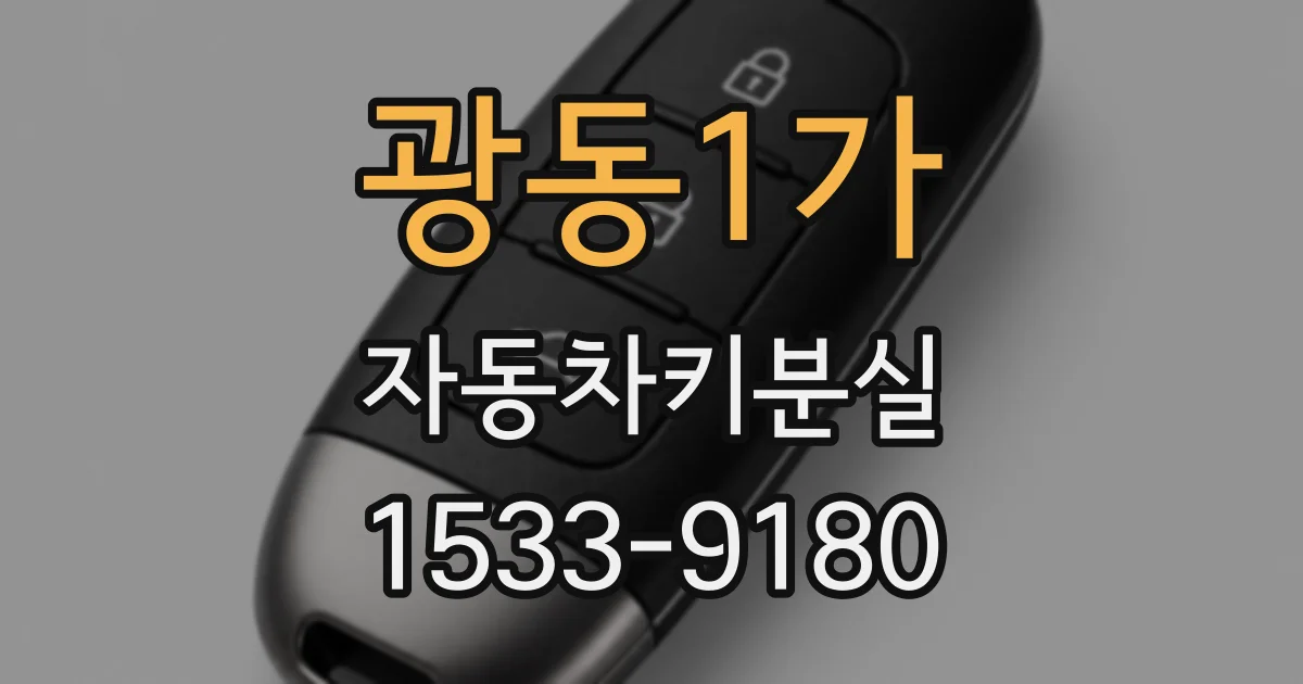 광동1가 자동차키분실