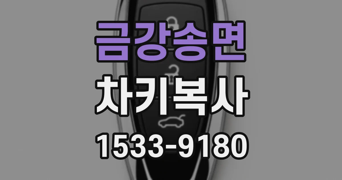 금강송면 차키복사