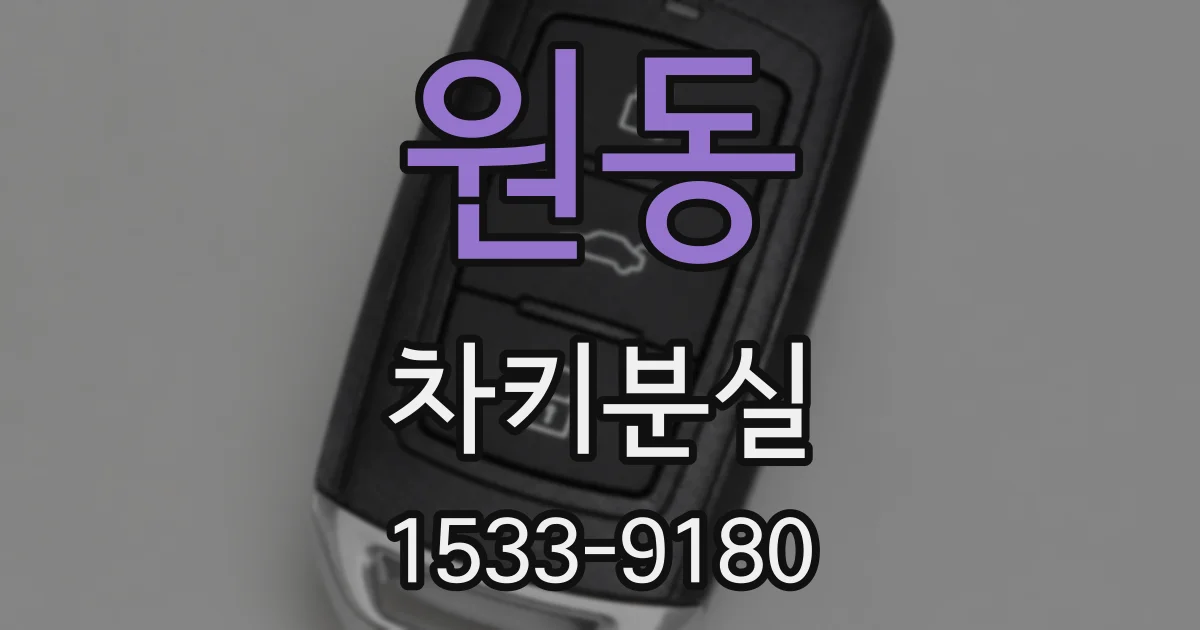 원동 차키분실