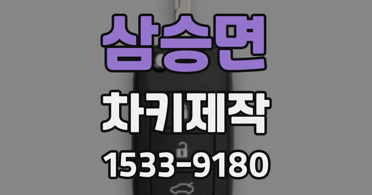 삼승면 차키제작
