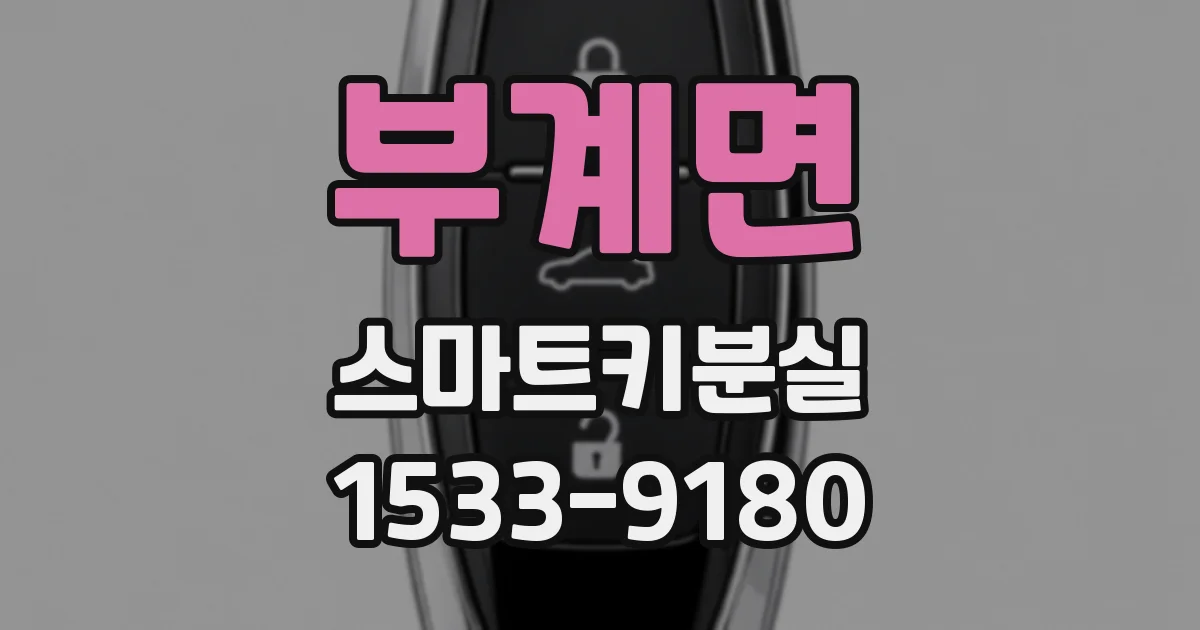 부계면 스마트키분실