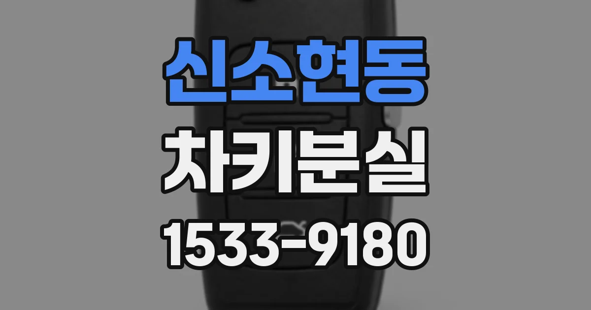 신소현동 차키분실