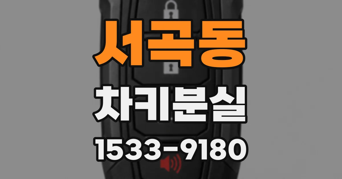 서곡동 차키분실
