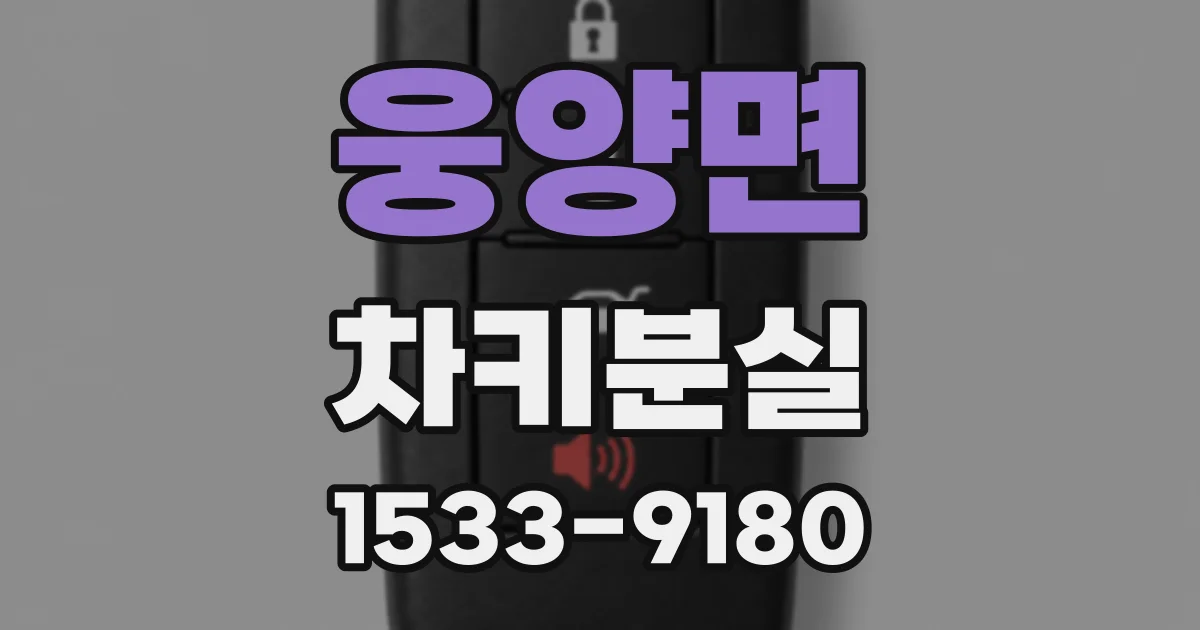 웅양면 차키분실