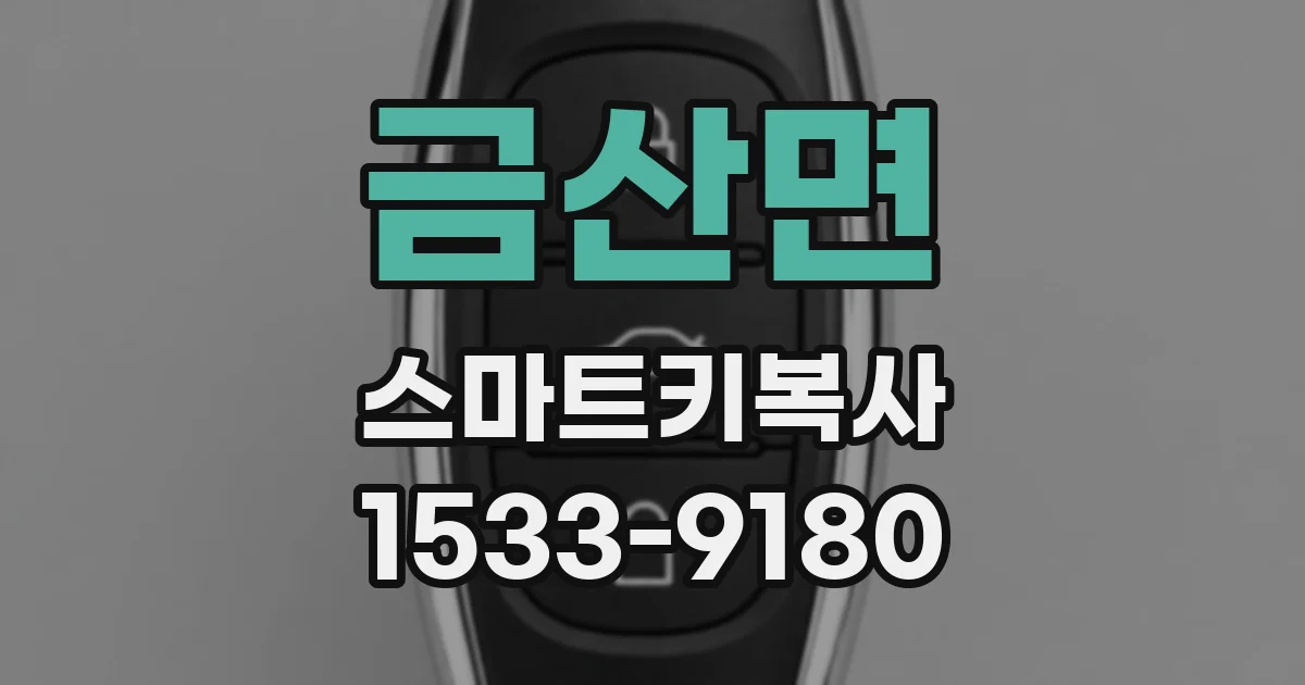 금산면 스마트키복사