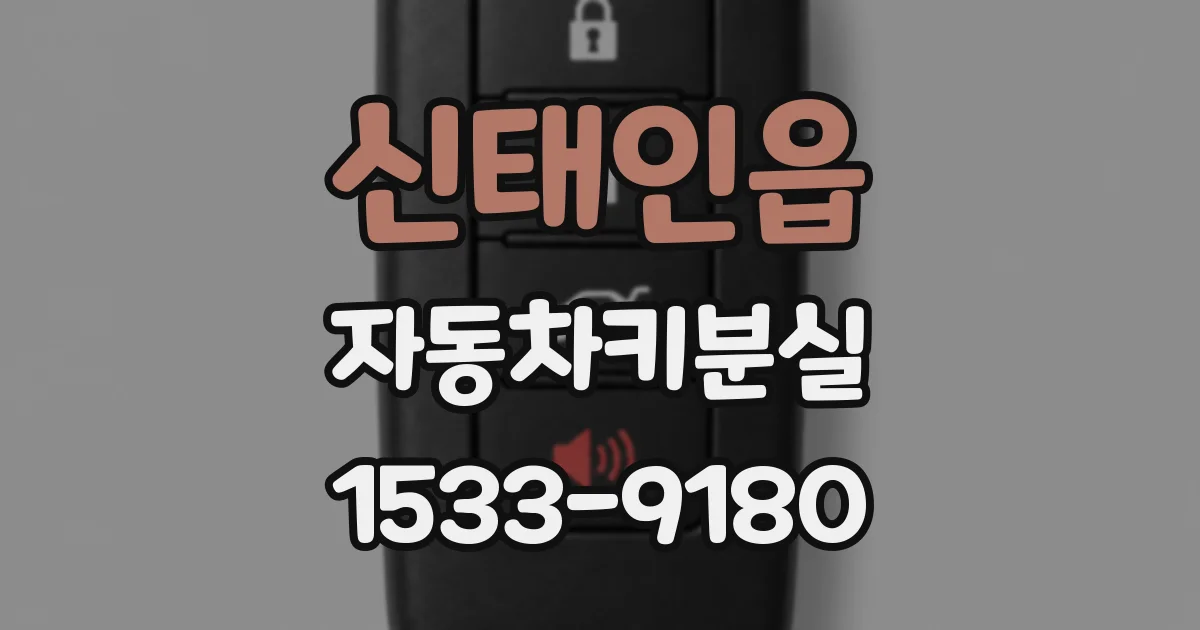신태인읍 자동차키분실