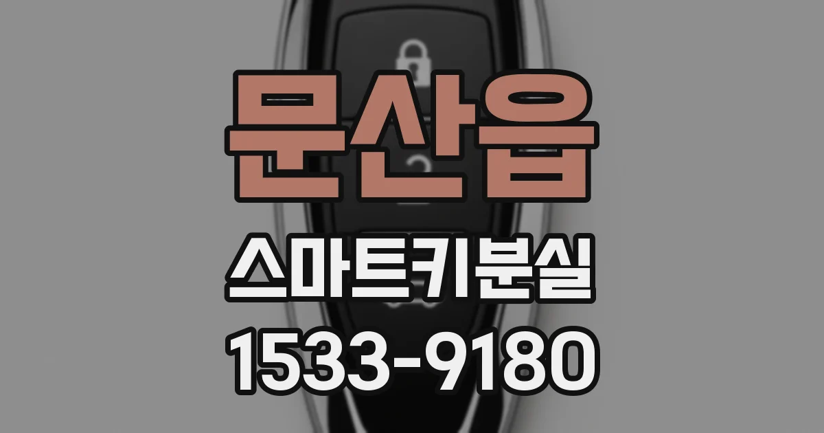 문산읍 스마트키분실